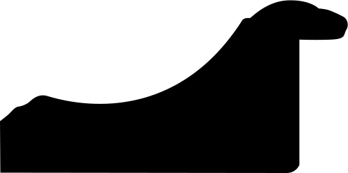 Baguette bois profil doucine inversée largeur 4.4cm  couleur noire satiné filet or - 33x24