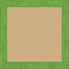 Cadre bois profil plat largeur 2.5cm couleur vert menthe satiné - 20x60