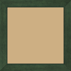 Cadre bois profil plat largeur 2.5cm couleur vert sapin satiné - 20x60