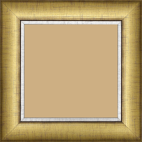 Cadre bois profil concave largeur 5cm couleur or   filet argent chaud - 84.1x118.9