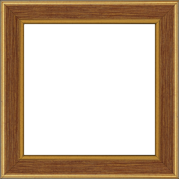 Cadre bois profil plat largeur 3.5cm couleur or fond bordeaux filet or - 65x54