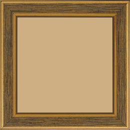 Cadre bois profil plat largeur 3.5cm couleur or fond noir filet or - 50x70