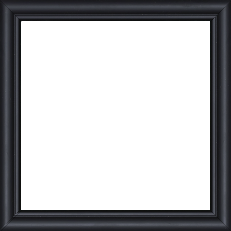 Cadre bois profil arrondi largeur 2.1cm couleur noir mat filet noir - 46x33