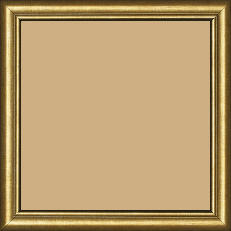 Cadre bois profil arrondi largeur 2.1cm couleur or filet or - 25x25