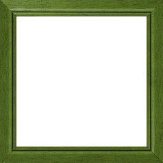 Cadre bois profil bombé largeur 2.4cm couleur vert sapin satiné filet noir - 65x54
