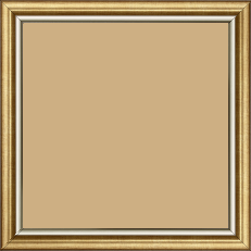 Cadre bois profil arrondi largeur 2.1cm  couleur or filet argent chaud - 25x25
