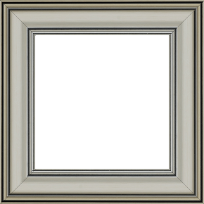 Cadre bois profil bombé largeur 5cm couleur argent chaud filet noir - 59.4x84.1