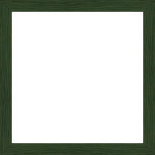 Cadre bois profil plat largeur 1.7cm couleur vert foncé veiné - 65x50